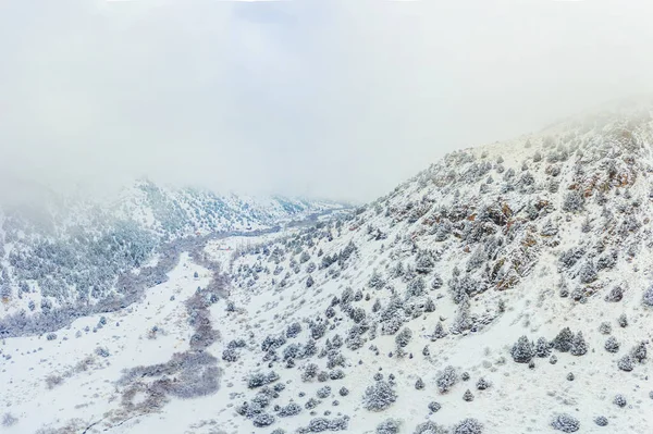 Pendientes Cubiertas Nieve Montaña Con Abetos Las Heladas Nubes Niebla — Foto de Stock