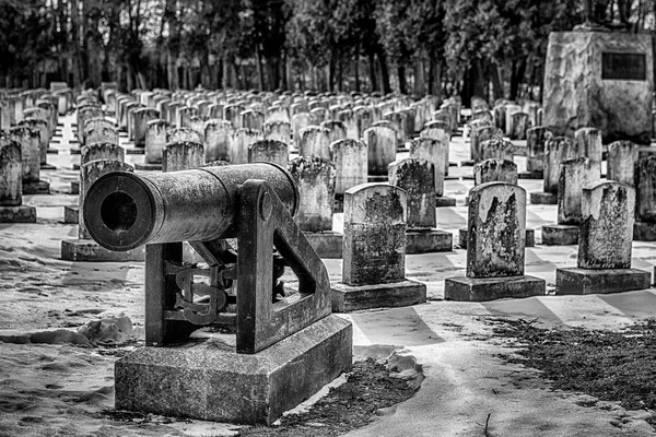 Kanon Schwarz Weiß Foto Eines Kanons Militärischen Teil Eines Friedhofs — Stockfoto