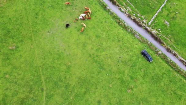 Valentia Adası 'nın güzel hava manzarası. Vahşi Atlantik Yolu 'nda ziyaret etmeye değer yerler. Sıkıcı bir bahar gününde İrlanda manzaralı Kerry İlçesi, İrlanda. — Stok video