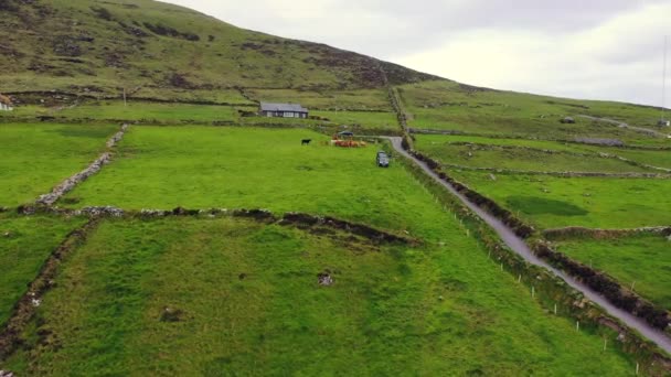 Bela vista aérea da ilha de Valentia. Locais que vale a pena visitar no Caminho do Atlântico Selvagem. Scenic Irish countyside on a dull spring day, County Kerry, Irlanda . — Vídeo de Stock