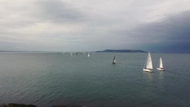 Aerial view of sailing ships and yachts in Dun Laoghaire marina harbour, Ireland — Stock Video