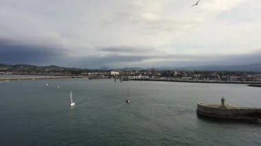 İrlanda 'nın Dun Laoghaire marina limanında bir martı ve yelkenli teknesi, gemi ve yatların hava görüntüsü.