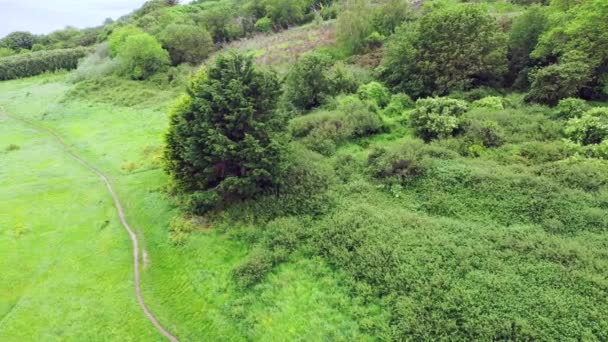 Bray, County Wicklow, İrlanda 'daki Raheen-a-Cluig ortaçağ kilisesinin havadan görünüşü — Stok video