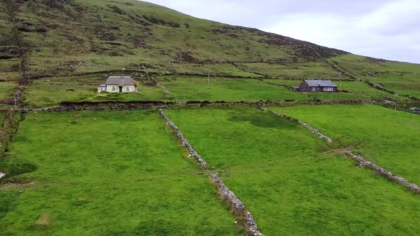 Bella vista aerea dell'isola di Valentia. Luoghi da visitare sulla Wild Atlantic Way. Contea di Kerry, Irlanda Scenic Irish countyside in una noiosa giornata primaverile . — Video Stock