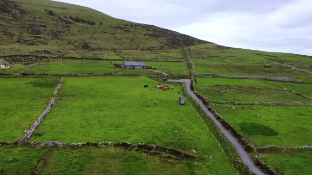 Piękny widok z lotu ptaka na wyspę Valentia. Miejsca warte odwiedzenia na Dzikim Atlantyku. Malownicze irlandzkie hrabstwo w nudny wiosenny dzień, County Kerry, Irlandia. — Wideo stockowe