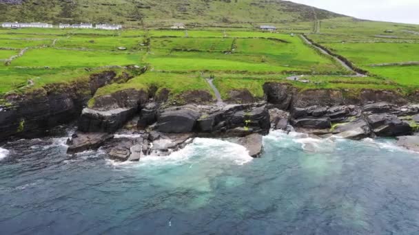 Piękny widok z lotu ptaka na wyspę Valentia. Miejsca warte odwiedzenia na Dzikim Atlantyku. Malownicze irlandzkie hrabstwo w nudny wiosenny dzień, County Kerry, Irlandia. — Wideo stockowe