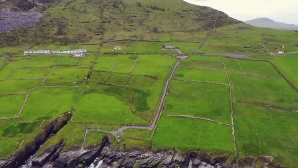 Piękny widok z lotu ptaka na wyspę Valentia. Miejsca warte odwiedzenia na Dzikim Atlantyku. Malownicze irlandzkie hrabstwo w nudny wiosenny dzień, County Kerry, Irlandia. — Wideo stockowe