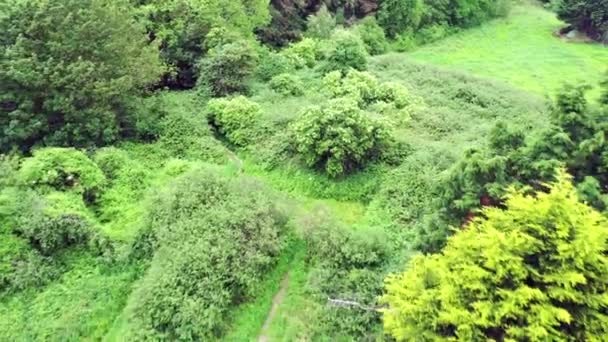 Vista aérea de la iglesia medieval Raheen-a-Cluig en Bray, Condado de Wicklow, Irlanda — Vídeos de Stock