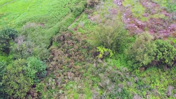 Luchtfoto van de Raheen-a-Cluig middeleeuwse kerk in Bray, County Wicklow, Ierland — Stockvideo