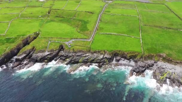 Piękny widok z lotu ptaka na wyspę Valentia. Miejsca warte odwiedzenia na Dzikim Atlantyku. Malownicze irlandzkie hrabstwo w nudny wiosenny dzień, County Kerry, Irlandia. — Wideo stockowe