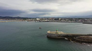 Kozalaklı köknar ağacı dallarına yakın çekim