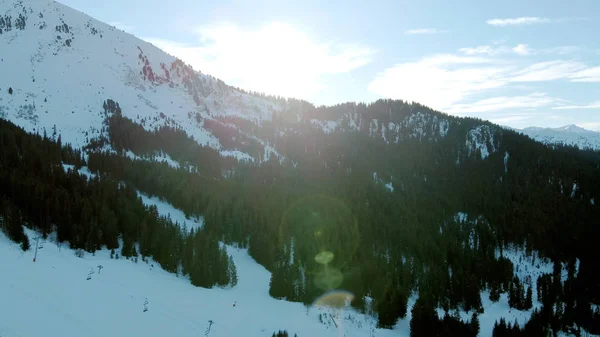 Luftaufnahme von schneebedeckten Berggipfeln und dunklem Fichtenwald im Schnee — Stockfoto
