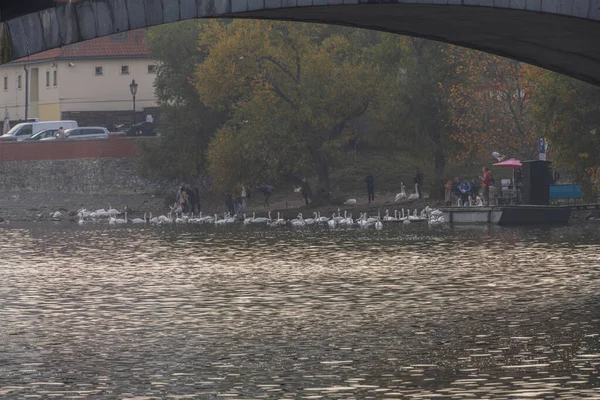 Uitzicht op de rivier de Vltava en de oude binnenstad in Praag. Tsjechische Republiek — Stockfoto