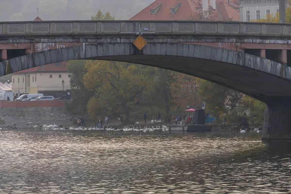 Вид на реку Влтаву и Старый город в Фагге. Чехия — стоковое фото