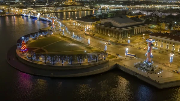 St. Petersburg Borsası ve Rostral Sütunları 'nın hava manzarası, St Petersburg, Rusya