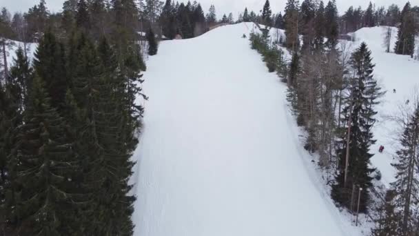 Aerial view of downhill skiing at local ski resort. Ski lift. Russia, Leningrdaskaya oblast, village Korobitsyno near Saint Petersburg. — Αρχείο Βίντεο