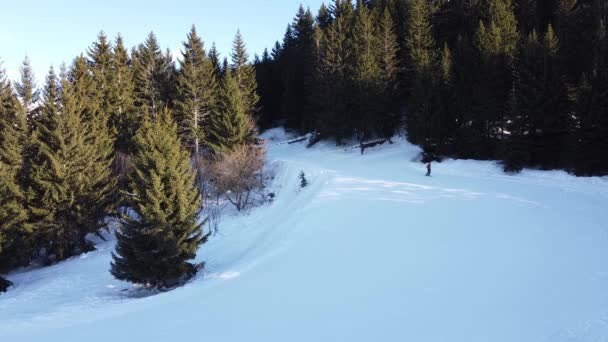 Повітряна зимова сцена альпійських засніжених гірських вершин і темний ялиновий ліс у снігу — стокове відео