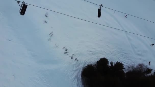 Cena aérea de inverno de picos de montanha nevados alpinos e floresta de abeto escuro na neve — Vídeo de Stock