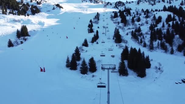 Escena aérea de invierno de picos nevados alpinos y bosque de abetos oscuros en la nieve — Vídeos de Stock