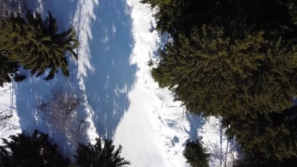 Luchtfoto winter scene van alpine besneeuwde bergtoppen en donkere sparren bos in de sneeuw — Stockvideo