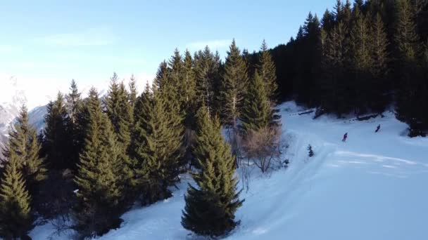 Aerial winter scene of alpine snowy mountain peaks and dark spruce forest in snow — 비디오