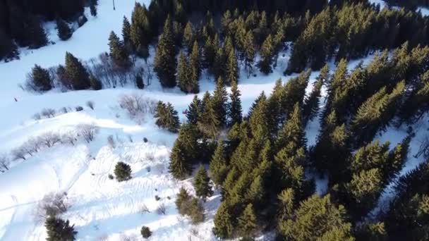 Scène hivernale aérienne de sommets enneigés alpins et de forêts d'épinettes sombres dans la neige 