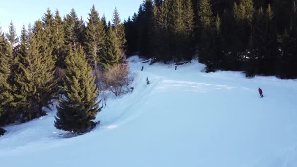 Escena aérea de invierno de picos nevados alpinos y bosque de abetos oscuros en la nieve — Vídeo de stock