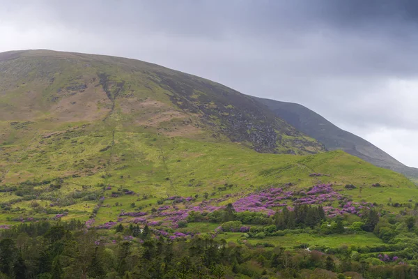 Vista del campo irlandés, Gleensk, República de Irlanda —  Fotos de Stock
