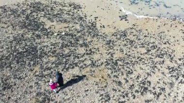 Anne ve küçük kızın kumsalda yürüyüşünün havadan görüntüsü, Whitstable, Kent
