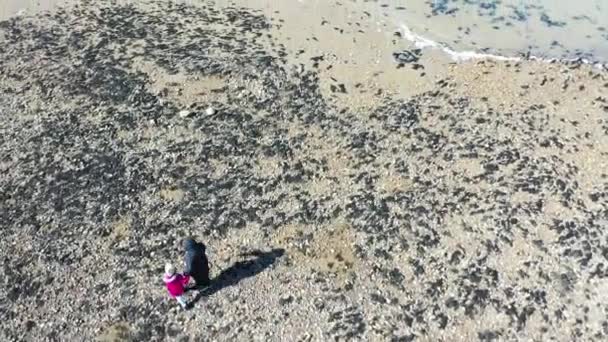 Légi felvétel anya és kislánya séta a strandon, Whitstable, Kent — Stock videók