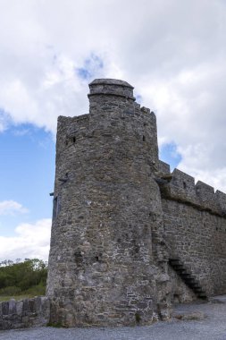 Killarney, Co. Kerry İrlanda yakınlarındaki Ross Kalesi