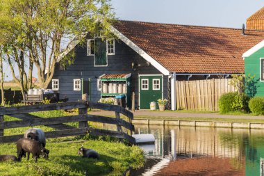 Hollanda Hollanda 'daki Hollanda' daki eski Hollanda köyündeki eski Hollandalı evleri..