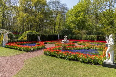 İlkbahar, Hollanda ve Hollanda 'daki lale tarlalarının manzarası