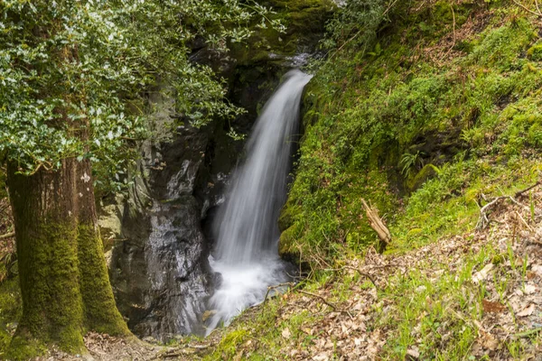Poulanass Waterfall in Wicklow Mountains National Park, Irlande . Photo De Stock