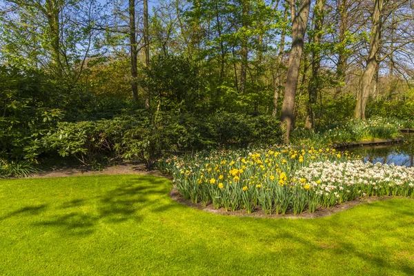 Vista de los campos de tulipanes en primavera, Holanda, Países Bajos —  Fotos de Stock