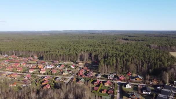 Αεροφωτογραφία της λίμνης Borisovskoye, του δάσους και του οικισμού την ημέρα του φθινοπώρου, Borisovo, Περιφέρεια Λένινγκραντ, Ρωσία — Αρχείο Βίντεο