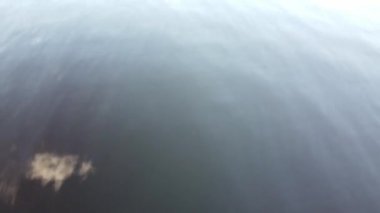 Borisovskoye Gölü, sonbahar günü orman ve yerleşim alanı, Borisovo, Leningrad Oblastı, Rusya