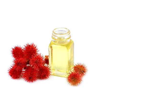 Hint yağı ve castor bean kütükler