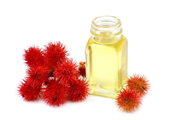 Castor oil in glass bottle with castor bean bloom — Stock Photo, Image