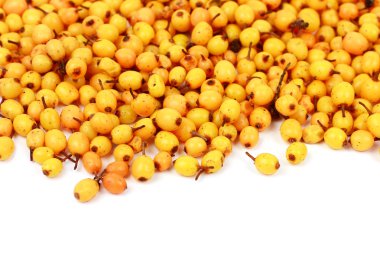 Deniz cehri çilek beyaz arka plan üzerinde