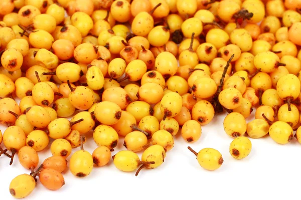 Heap of Sea buckthorn berries — Stock Photo, Image