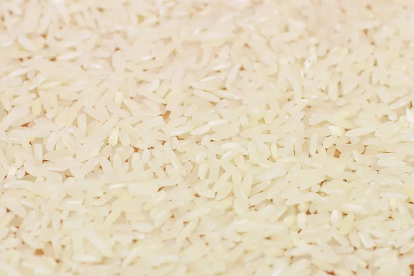 원시 흰 쌀 배경의 힙 — 스톡 사진