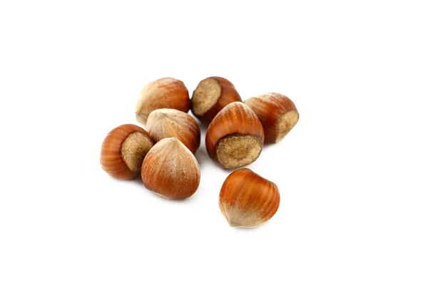 Whole hazelnuts on white background — Stock Photo, Image