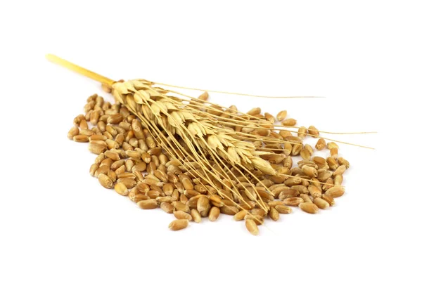Granos y espiga de trigo —  Fotos de Stock
