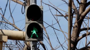 Trafik işareti sokak ışık