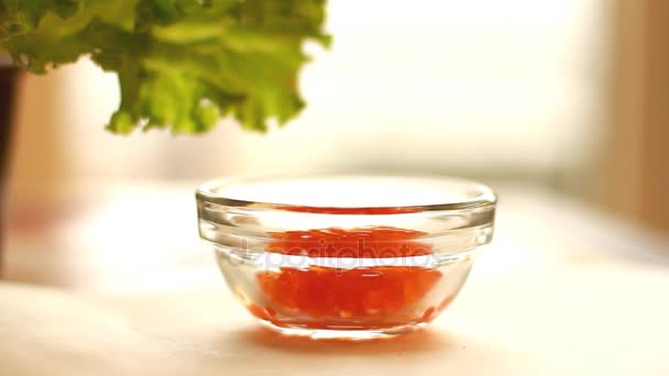 Poner caviar rojo en un tazón — Vídeo de stock
