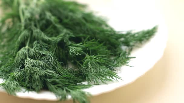 Fresh dill branches — Stock Video