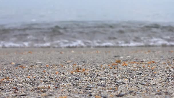 Pobrzeże, skupić się na morze piasku — Wideo stockowe