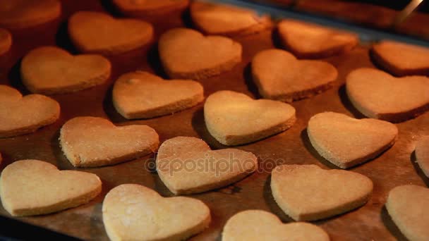 Zelfgemaakte gingerbreads in de oven gebakken — Stockvideo