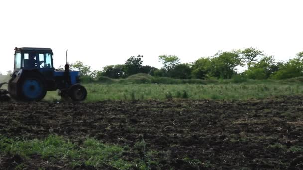 Volando el campo con un tractor — Vídeo de stock